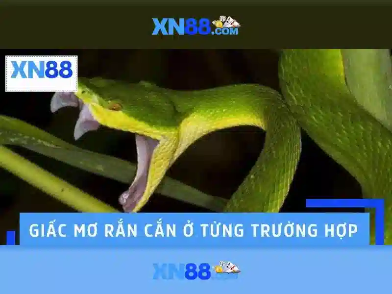 xn88: Tổng quan về nền tảng và trải nghiệm người dùng