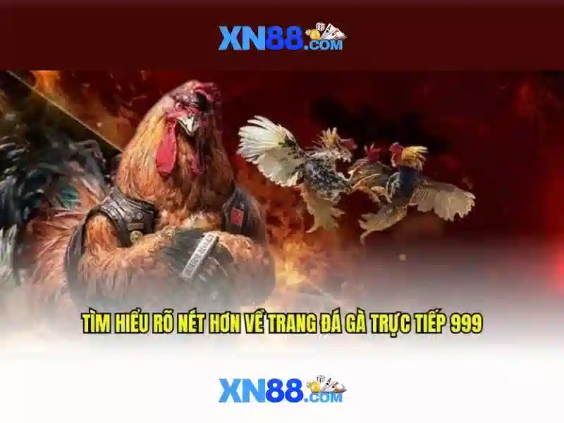 xn88 và nguồn gốc của tên gọi