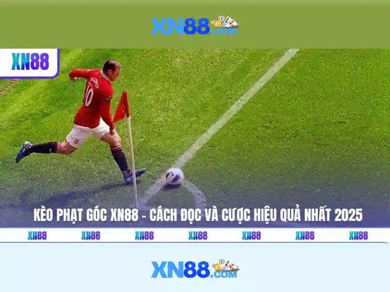 Kết luận và tiềm năng