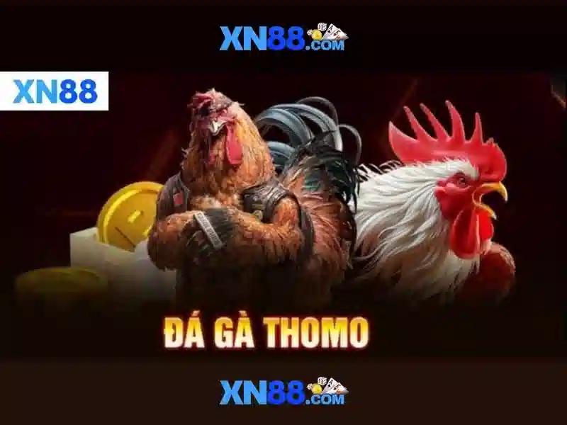 Các dịch vụ nổi bật