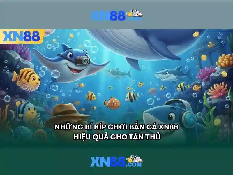 Điều kiện và quyền lợi người chơi