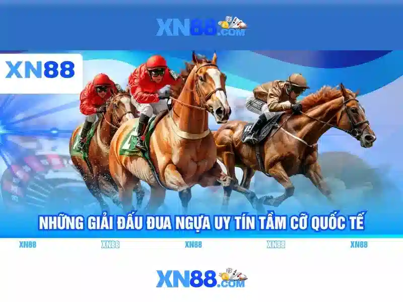 Giới thiệu xn88