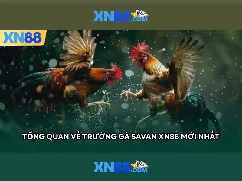 Gioi thieu ve xn88