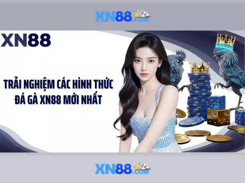 Xn88: Tổng quan và đánh giá