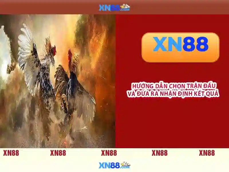 xn88: Tổng quan và hướng dẫn ngắn