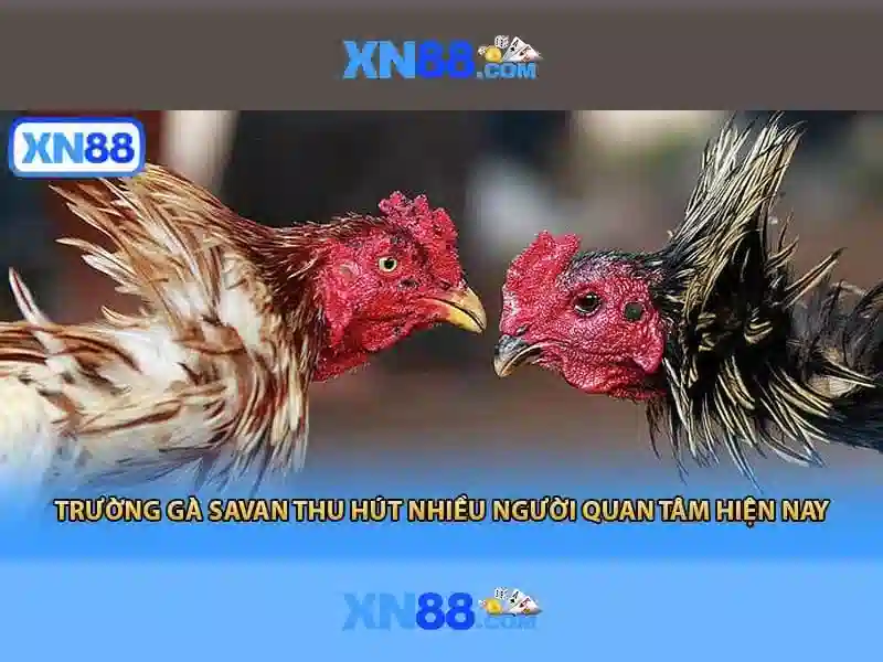 Trải nghiệm người dùng và hỗ trợ khách hàng
