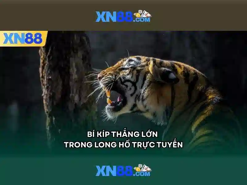 Những điểm nổi bật của xn88