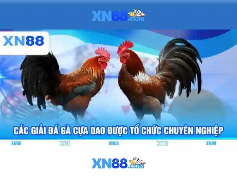 Giới thiệu xn88