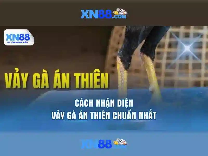 Định vị và lĩnh vực hoạt động