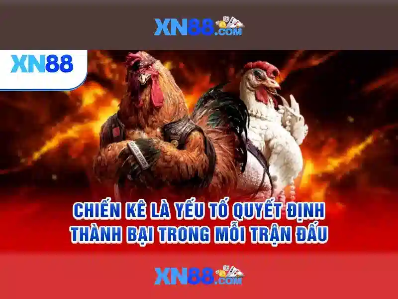 Xn88: Khám phá nền tảng giải trí và cá cược trực tuyến