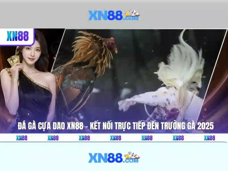 Hướng dẫn đăng ký và khuyến mãi