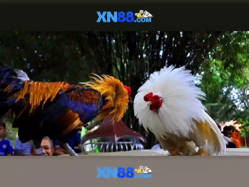 xn88: Nền tảng giải trí trực tuyến đáng tin cậy