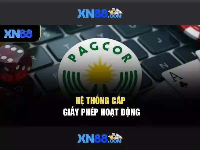 Khởi động nhanh và hỗ trợ khách hàng