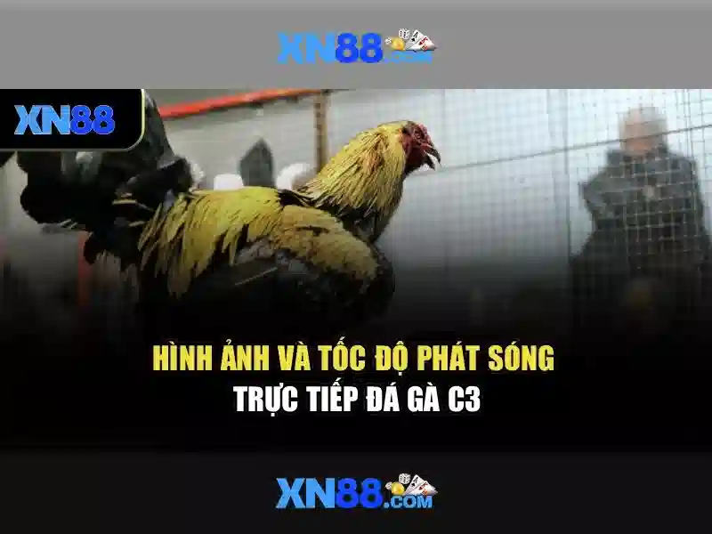 An toàn và bảo mật khi chơi tại xn88