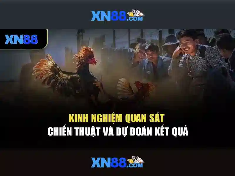 xn88 — Tổng quan về nền tảng giải trí trực tuyến