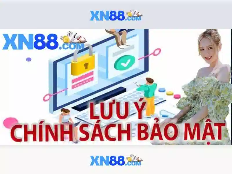 Lĩnh vực hoạt động của xn88