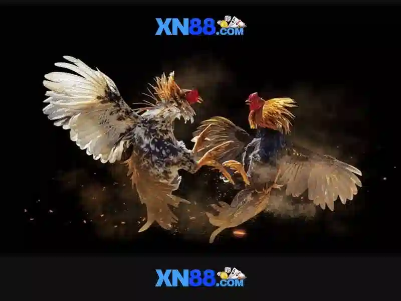 xn88: Nền tảng trò chơi trực tuyến phổ biến tại Việt Nam