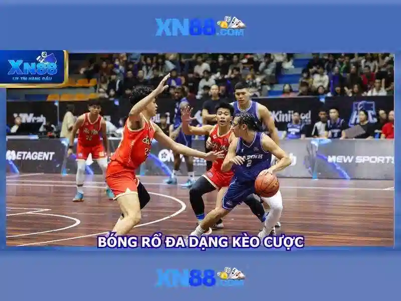 Cài đặt và trải nghiệm người dùng