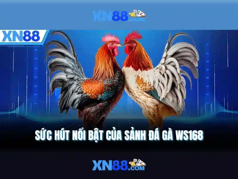 xn88: Đánh giá nền tảng cược trực tuyến tại Việt Nam
