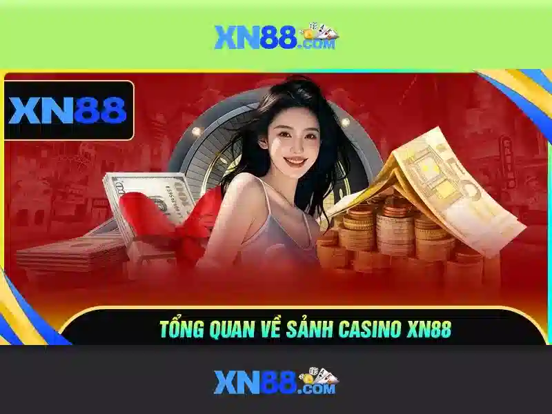 Các dịch vụ được cung cấp