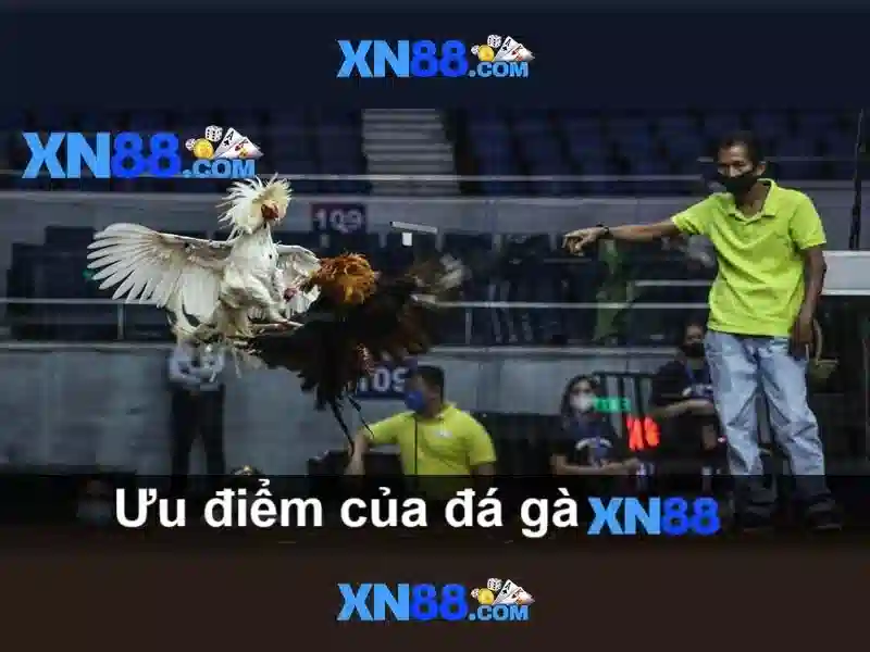 xn88: Tổng quan về nền tảng trực tuyến