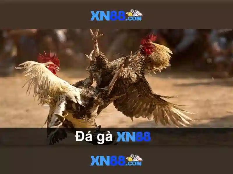 Khuyến mãi và cách tham gia