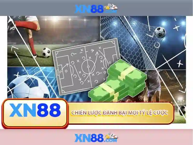 Các tính năng chính