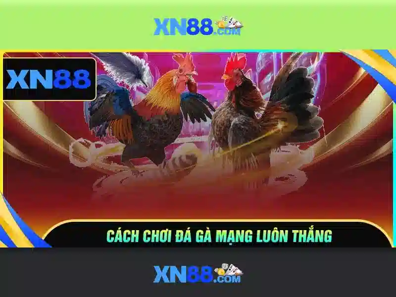 Nút đăng ký tài khoản XN88 nằm ở góc phải màn hình trang chủ
