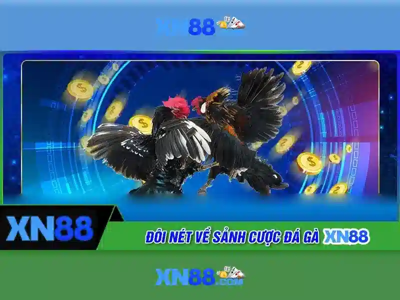 Lịch sử và nguồn gốc