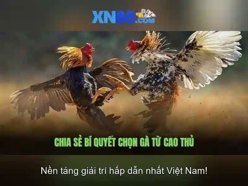 xn88: Gioi thieu ve nen game online va cach tham gia