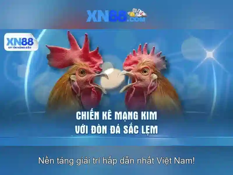 xn88: Nền tảng trò chơi trực tuyến và sự phát triển