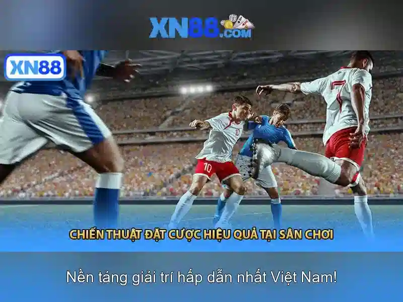 Trải nghiệm người dùng và giao diện