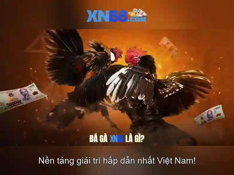 xn88: Đánh giá nền tảng chơi game trực tuyến