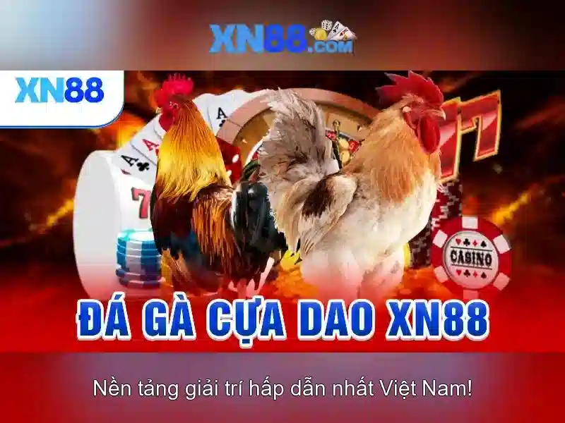 xn88: Tổng quan và các yếu tố quan trọng
