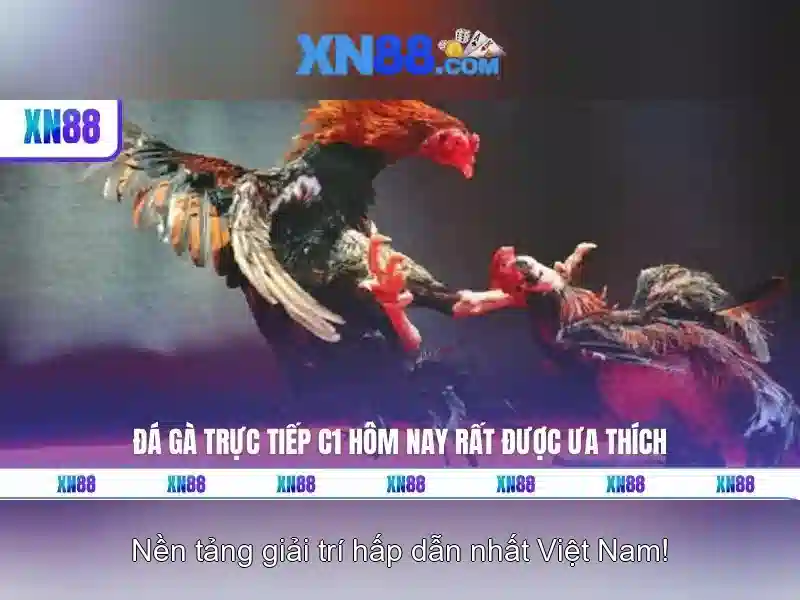 Cách tham gia và đăng ký