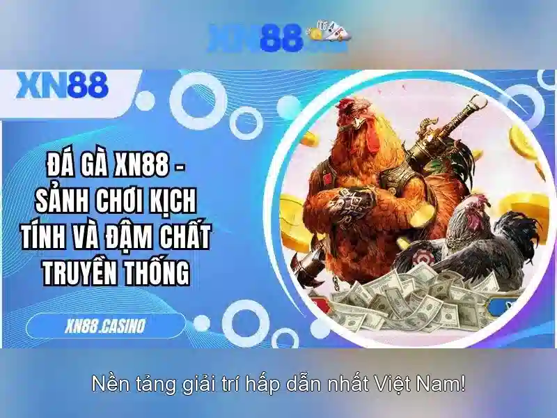 xn88: giới thiệu và ảnh hưởng trong cộng đồng trực tuyến