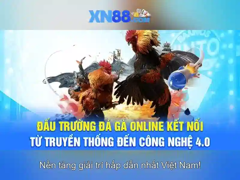XN88: Nền tảng cá cược trực tuyến và trải nghiệm người dùng