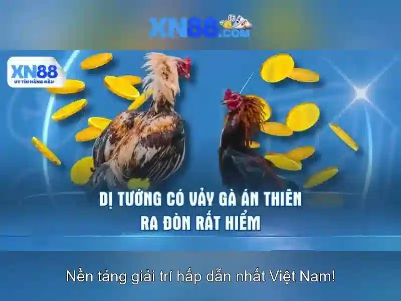 Thành phần và tính năng chính