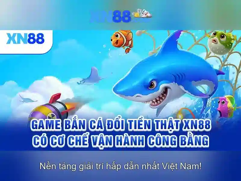 An toàn và trách nhiệm khi chơi