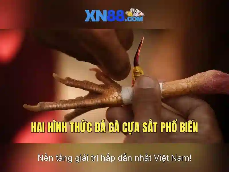 Đặc điểm nổi bật