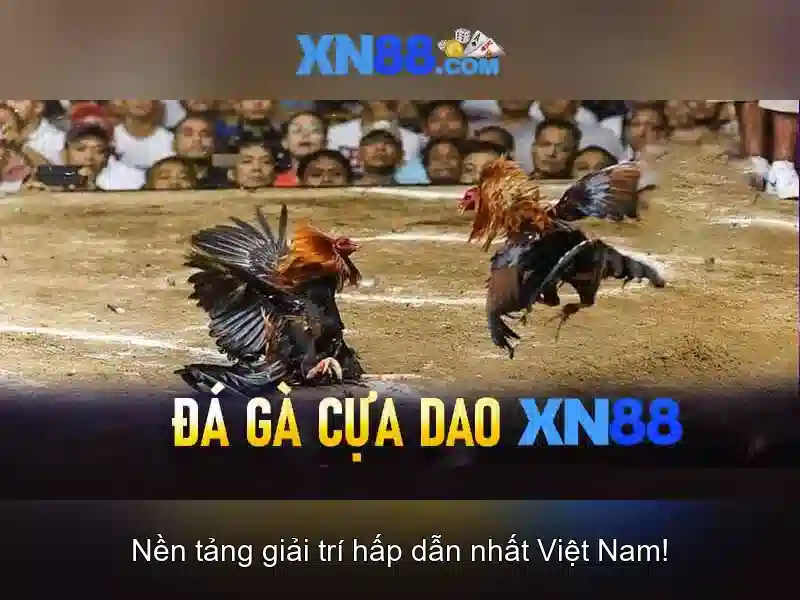 Tìm hiểu xn88: Nền tảng giải trí và cược trực tuyến đáng tin cậy