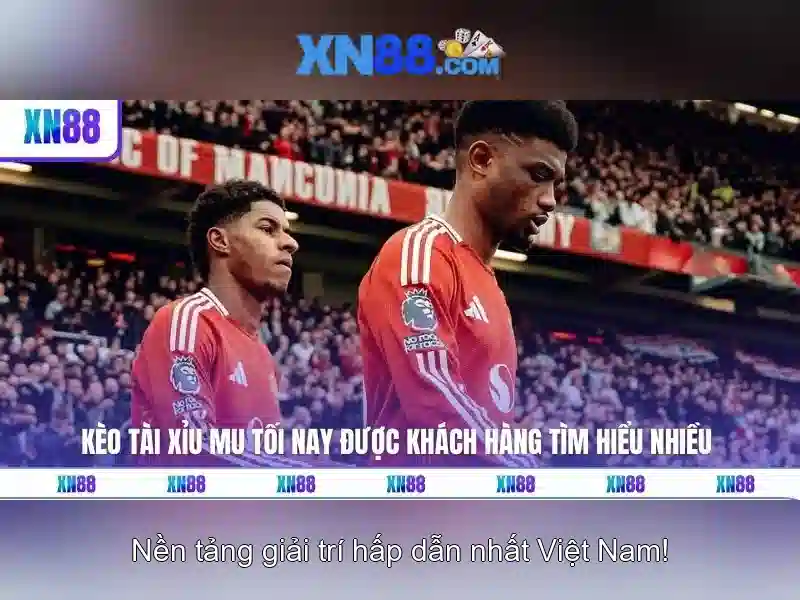 Độ tin cậy và an toàn