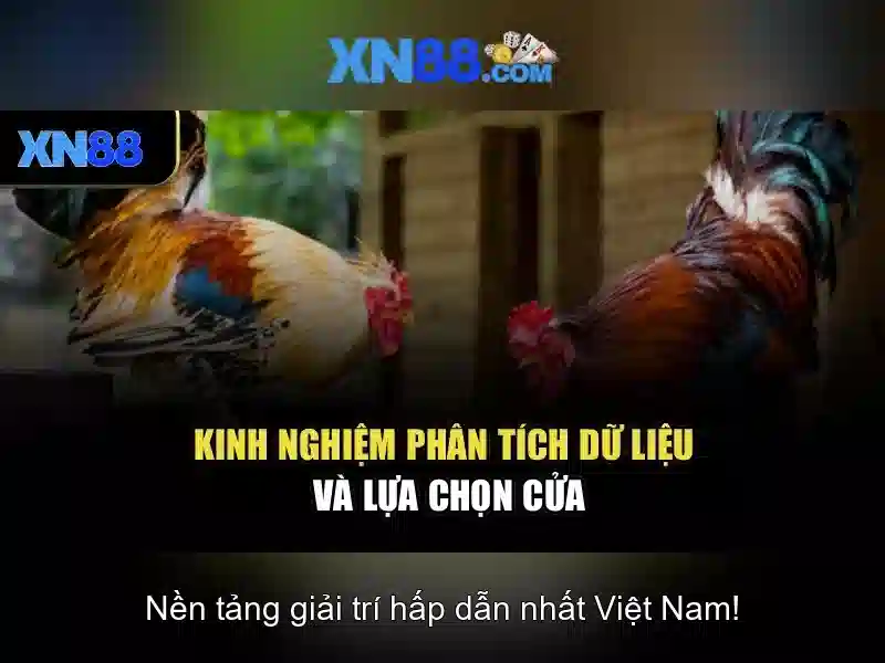 XN88: Nền tảng giải trí trực tuyến và trải nghiệm casino đỉnh cao