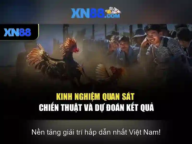 Hỗ trợ khách hàng