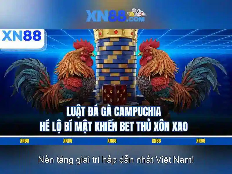 Các dịch vụ và sản phẩm