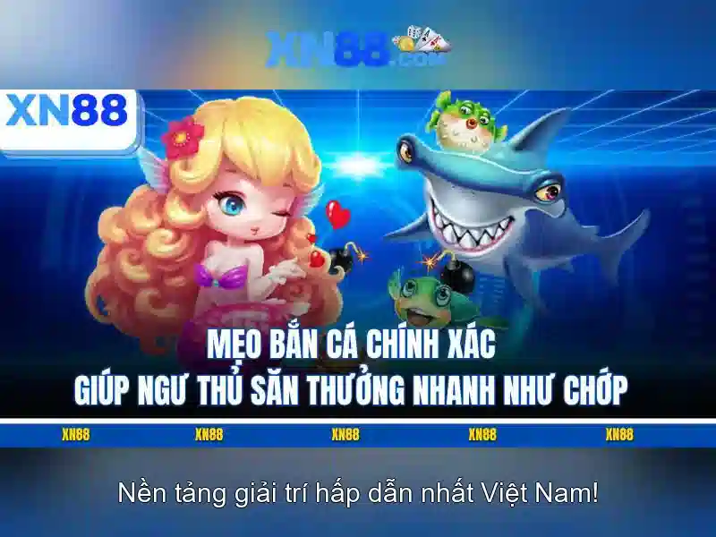 xn88 và hành trình của một nền tảng trực tuyến