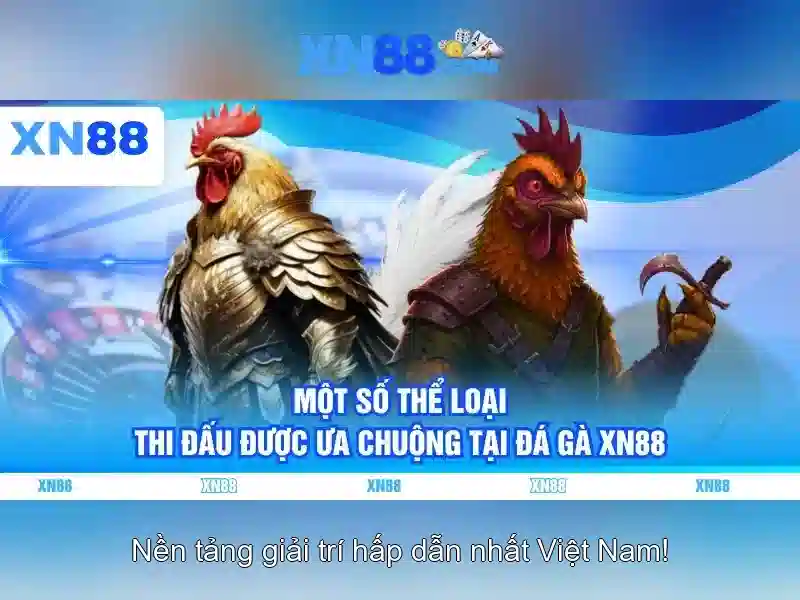Tổng quan về xn88: nền tảng chơi trực tuyến