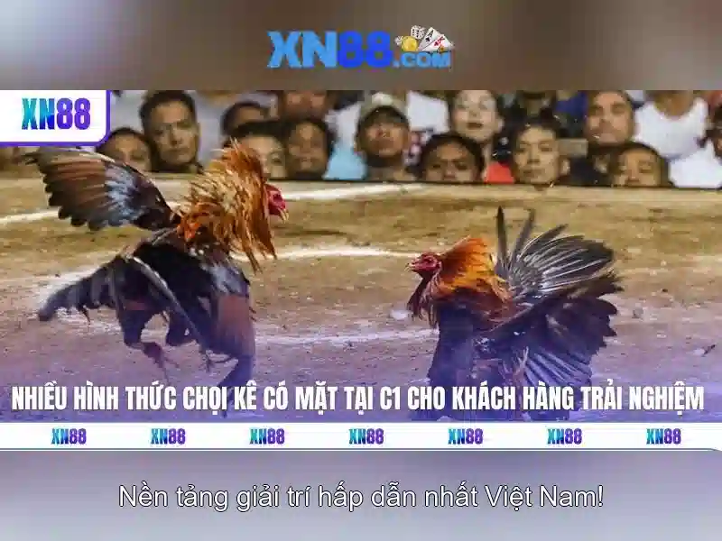 Lợi ích và dịch vụ
