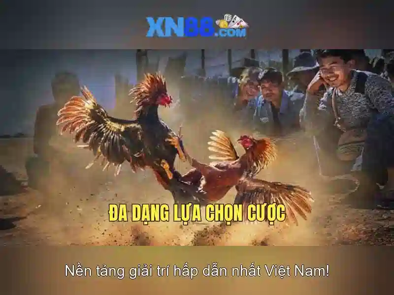  Hướng dẫn tham gia và đăng ký