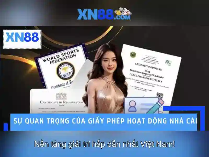 Giới thiệu về xn88
